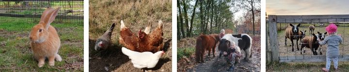 Minicamping De Somerweij is een in Someren gelegen minicamping dichtbij de Strabrechtse Heide.