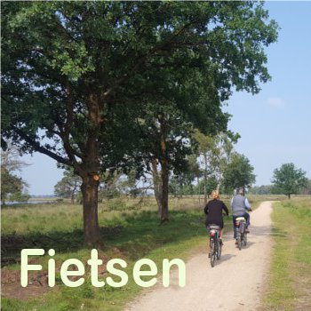 Minicamping De Somerweij ligt dicht bij de bossen waar onder andere vele fietsroutes te vinden zijn.