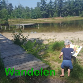 Camping De Somerweij ligt gelegen in een prachtig bosrijke omgeving, met vele wandelpaden en routes.